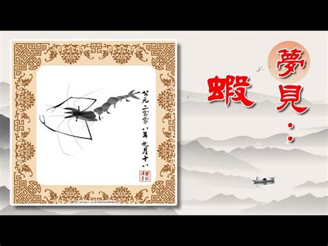 夢到蝦子號碼|夢見蝦